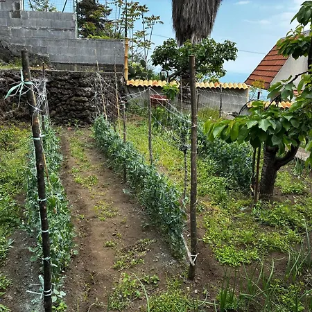 Etna Maison Villa Mascali